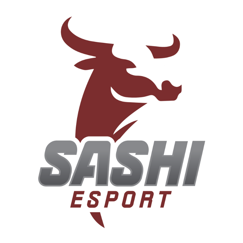Sashi Esport