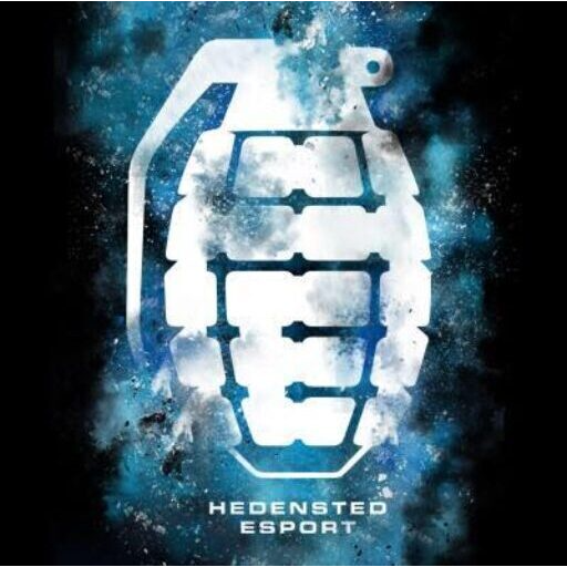 Hedensted Esport